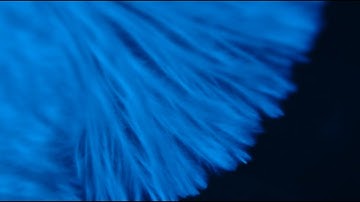 Life-Centered Design_DU 2021