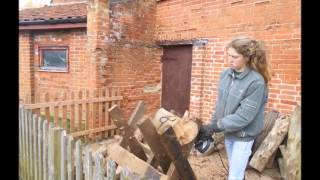 FW apprentice 2016
