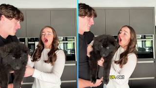 🐕 FULL New New Puppy Surprise Compilation 2026 | Let Emotions.
