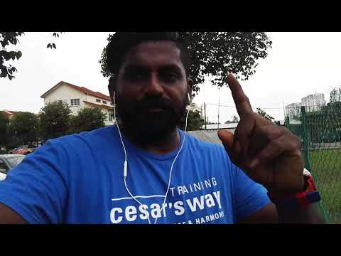 My dog Is not eating | Training SAMSWAY