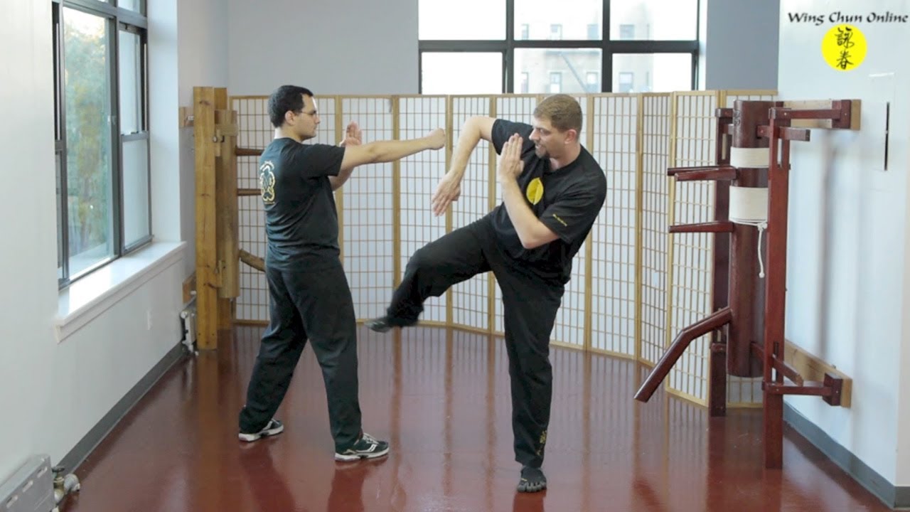 Wing Chun - Bil Sao to Deflect Punch -Side Kick Follow-up - YouTube