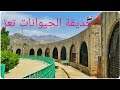 جولة في أضخم حديقة حيوان باليمن تعز