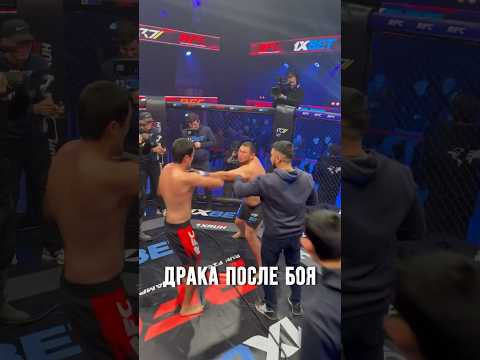 ДЕРЗКИЙ ДАНИЯР ДРАКА