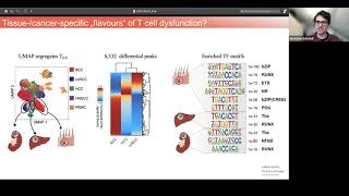 SCOG Virtual Lecture Series - Christian Schmidl (Leibniz Institute for Immunotherapy, Regensburg)