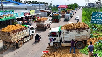 Perfectly Be on guard Processing Landfill Task! by Dozer Push soil& Truck 5Ton Dumping Soil, Mix VDO