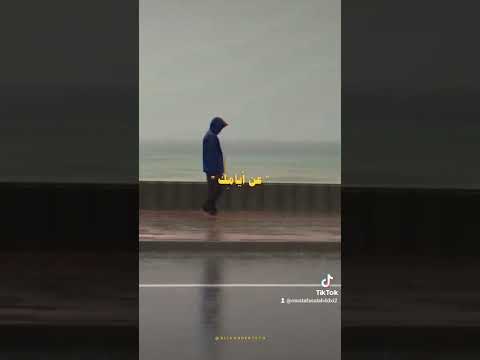 وانا بتفرج متكتف مدمر لا انا مجنون ولا انا عاقل