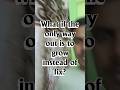 Quotes Video - 8