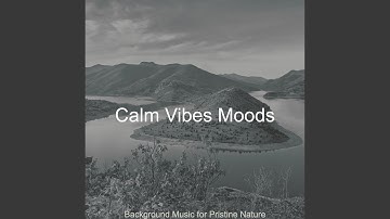 Pulsating Ambience for Inner Peace