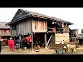 Typical Village Lifestyle In Terai Region Of Nepal || Primitive Life In Village || Country Life