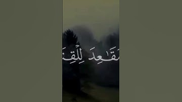 قران كريم #اكسبلور #yasseraldossary #دويتو #القزابري #قران_كريم #لايك #المصحف #تيك_توك #duet