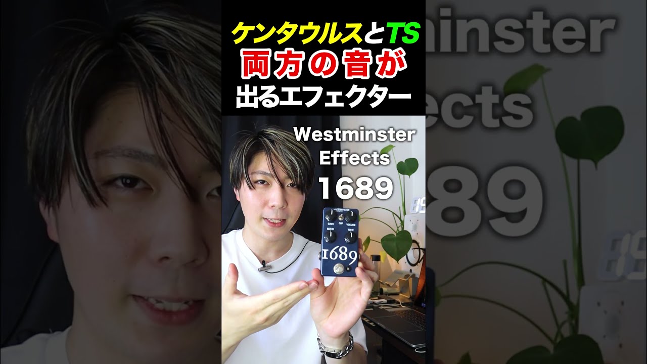 Westminster 1689 トランスペアレント系 オーバードライブ 1689 Overdrive V2 – Westminster Effects