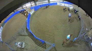 Big Sky Ranch Sorting Saddle Series #4 - #5 SORT - Round #2 - Ride #10