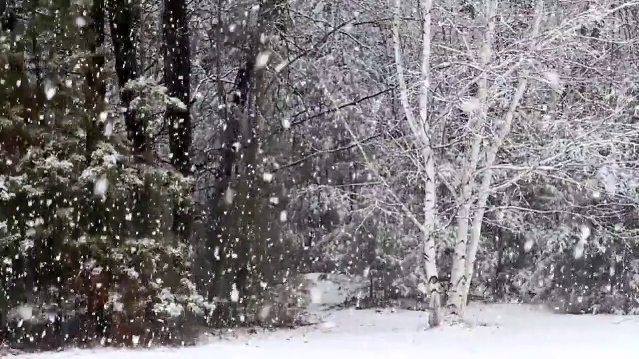 Let It Snow Lady Blue Saxophone Quartet arr. by Jeff Holmes YouTube