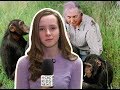 Jane Goodall on spending her life with chimpanzees I CBC Kids News