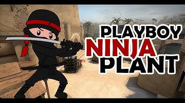 CS:GO Mirage "ninja plant" by PLAYBOY