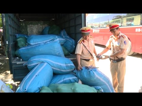 Video Bắt giữ xe tải vận chuyển 1,4 tấn nội tạng và thực... - youtube