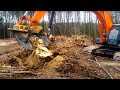 Removing A Tree Stump With Excavator / Machines Tree Stump Removal / Excavator Stump Shear