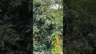 #reels #youtube #youtubeshorts #highlights #bangladesh