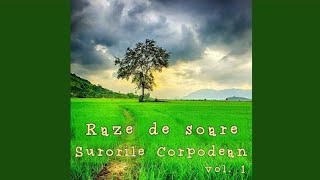 Surorile Corpodean * Arcuri încordate