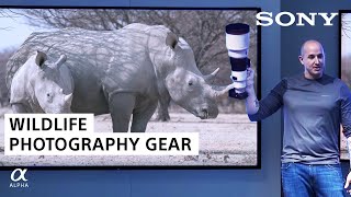 Colby Brown On Wildlife Photography