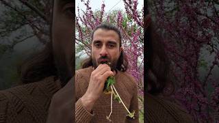 Tanirsan, Ne Yapacağini Bi̇li̇rsi̇n💚