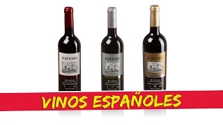Variedad de Vinos españoles / Sommelier Claudia Ibarra