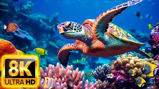 The Ocean 8K VIDEO ULTRA HD - Sea Animals for Relaxation, Beautiful Coral Reef Fish in Aquarium