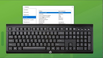 Options & Settings - Dragon Professional Individual