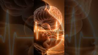 Baby Can Hear You in the Womb 😳👶 | Fetal Hearing Explained (3D Animation)