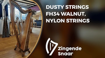 Dusty Strings FH34 walnut, nylon strings