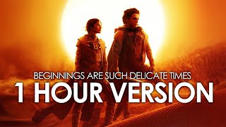 Dune: Part Two - Beginnings Are Such Delicate Times - 1 HOUR VERSION - Relax & Study