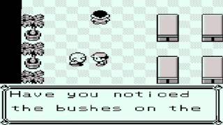 Let's Play Pokemon Blue Episode 2 - The Boulder Badge!