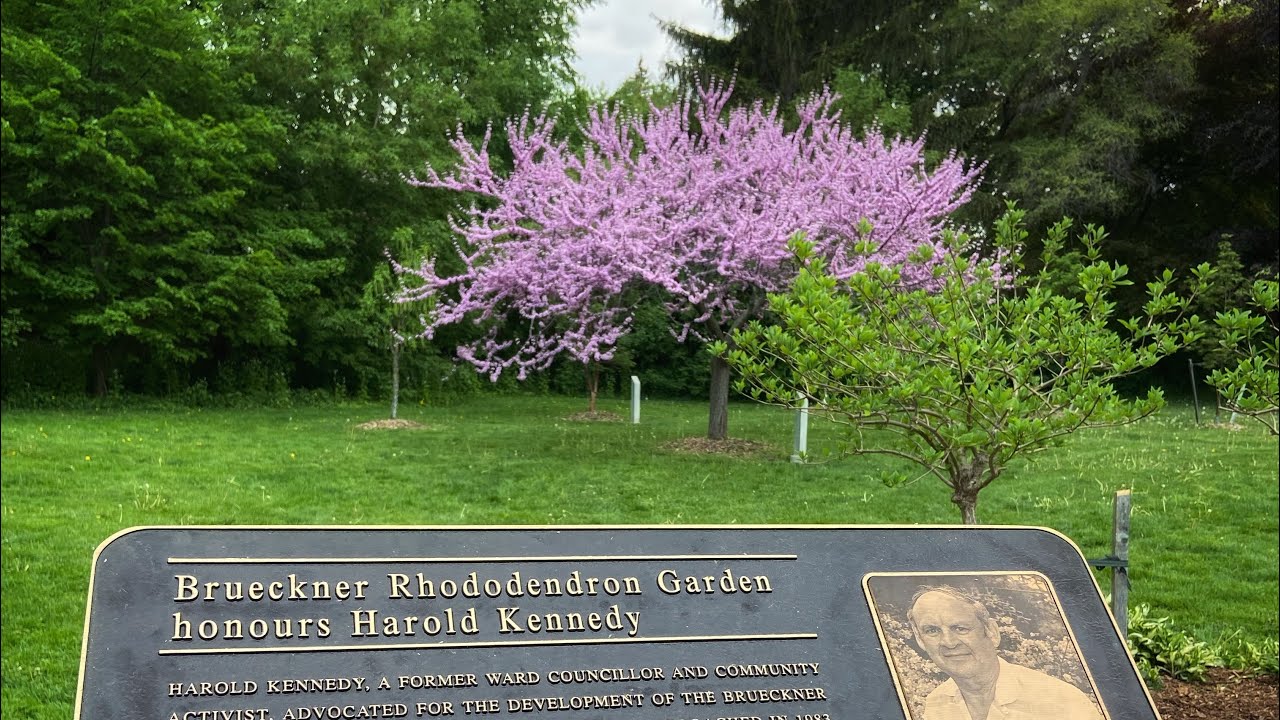 Brueckner Rhododendron Gardens  | Mississauga Waterfront Trail