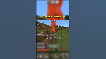 Wandering Trader 🤣🤣 | #noob