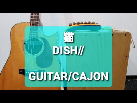 猫/DISH///カラオケ用