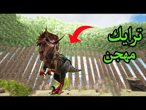 كرستال أرك 8 ترويض القيقا