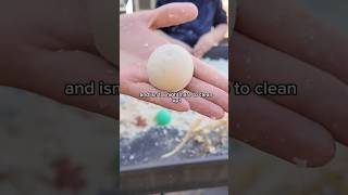 Moon Sand: Sensory Activity for Toddlers and Preschoolers.