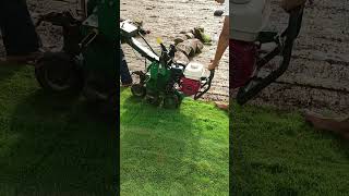 Sod Cutting Process | Lawn Grass 9850388634 @SamratsoftLawn