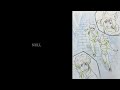 Sano ibuki - NULL (Audio)