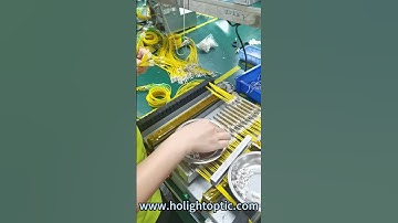 Insert Ferrule & Curing Process for SCA Patch Cords 💌 beta@holightoptic.com #Fiber #Cables #FTTH