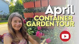 April Container Garden Tour