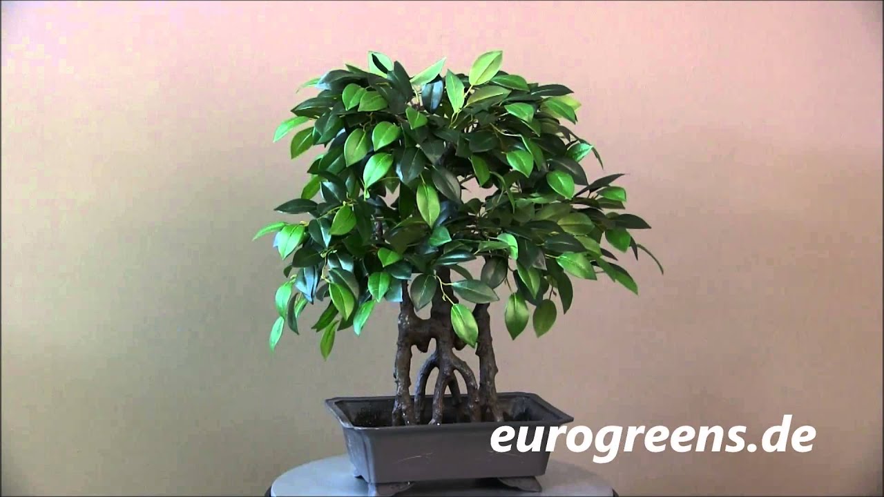 bunjin bonsai style Artificial Bonsai】Mini_0036 Bunjin main image 0