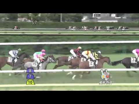 14年 2歳新馬 マイネルシュバリエ Youtube