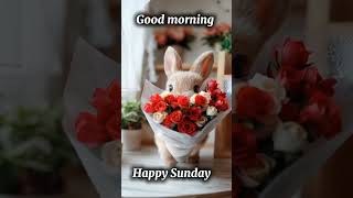 Good morning//Happy Sunday #happysunday #goodmorning #shorts #happymorning #goodmorningwish #morning