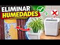 Quitar y prevenir humedades y condensación de forma sencilla y gastar dinero