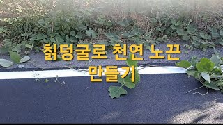 칡덩굴을 천연노끈으로 활용해서 울타리 끈 묶기에 도전해봅니다