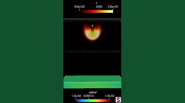 OpenFOAM simulation for spray combustion with AMR and surface film tracking