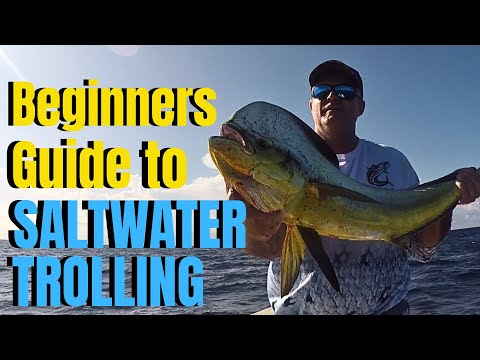 South Florida Saltwater Fishing 