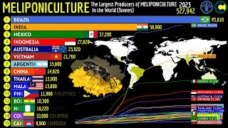 The Largest MELIPONICULTURE Producers in the World