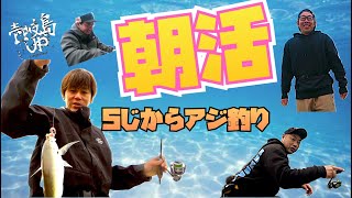 【アジング】壱岐島のREALな朝活！